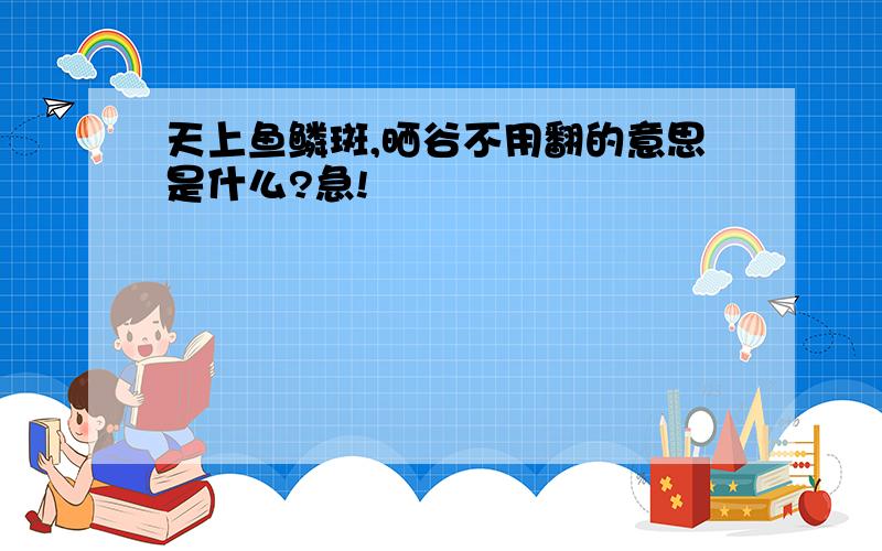 天上鱼鳞斑,晒谷不用翻的意思是什么?急!