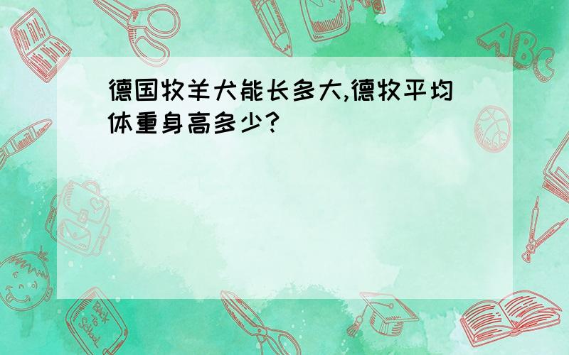 德国牧羊犬能长多大,德牧平均体重身高多少?