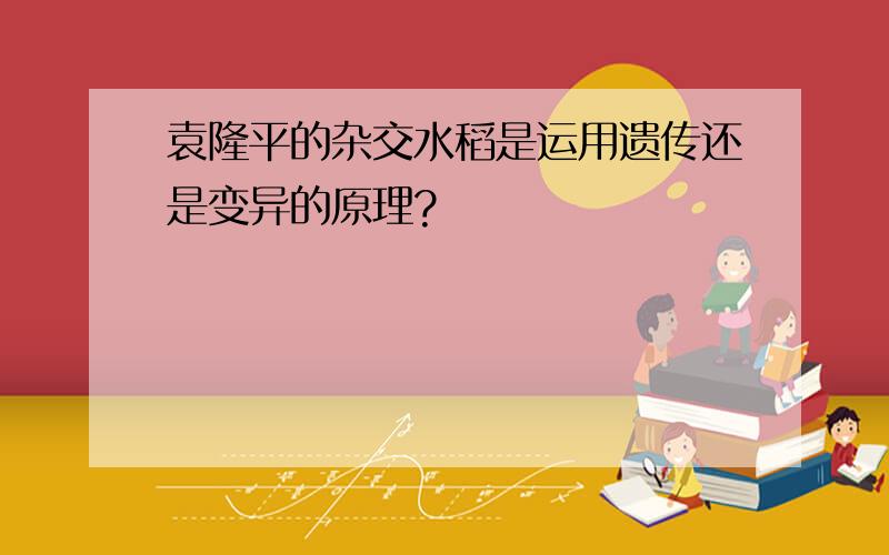 袁隆平的杂交水稻是运用遗传还是变异的原理?