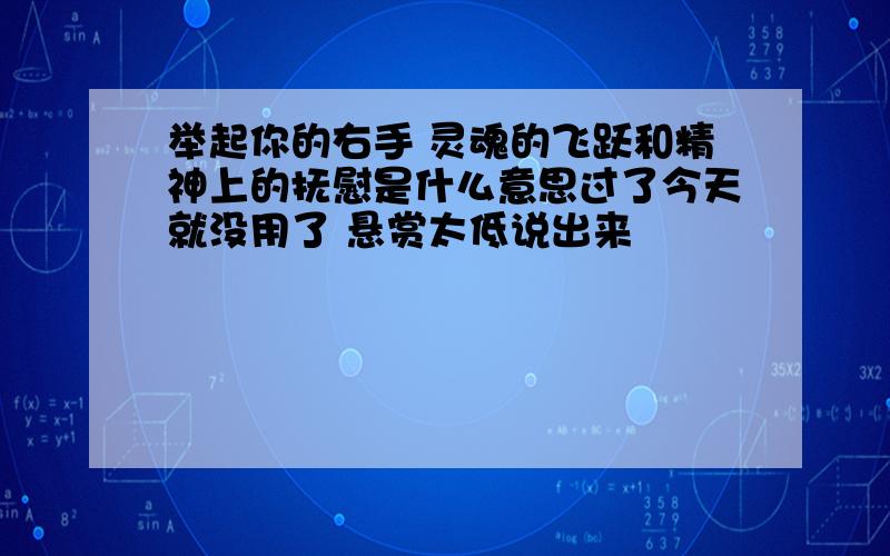 举起你的右手 灵魂的飞跃和精神上的抚慰是什么意思过了今天就没用了 悬赏太低说出来