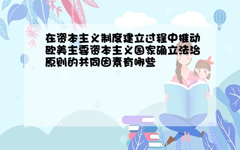 在资本主义制度建立过程中推动欧美主要资本主义国家确立法治原则的共同因素有哪些