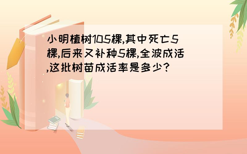 小明植树105棵,其中死亡5棵,后来又补种5棵,全波成活,这批树苗成活率是多少?