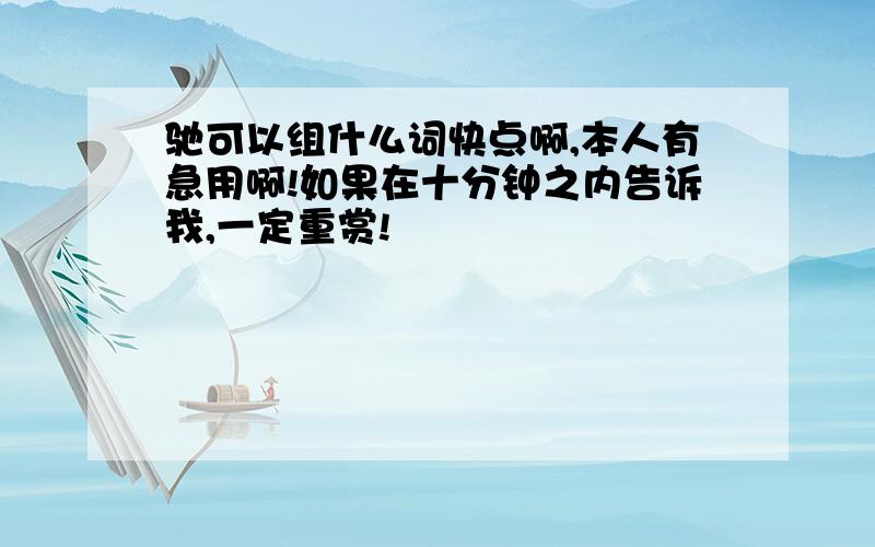 驰可以组什么词快点啊,本人有急用啊!如果在十分钟之内告诉我,一定重赏!