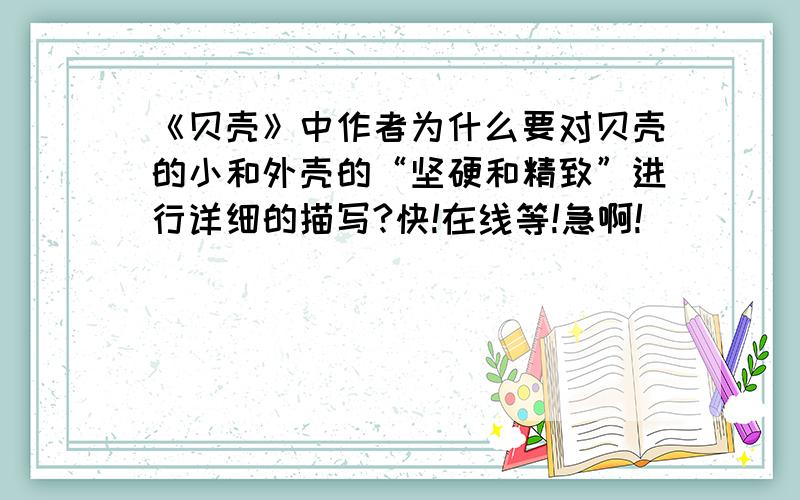 《贝壳》中作者为什么要对贝壳的小和外壳的“坚硬和精致”进行详细的描写?快!在线等!急啊!