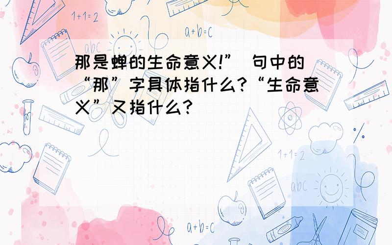 那是蝉的生命意义!” 句中的“那”字具体指什么?“生命意义”又指什么?