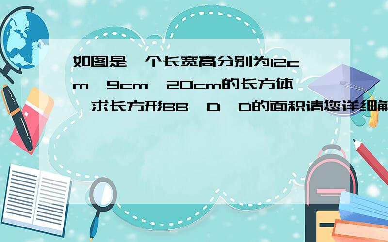 如图是一个长宽高分别为12cm,9cm,20cm的长方体,求长方形BB'D'D的面积请您详细解答（过程+结果+解析+总结） +_+ 悬赏10分(ˇˍˇ）$_$