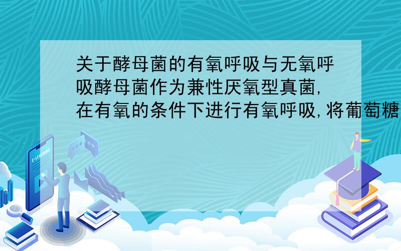 关于酵母菌的有氧呼吸与无氧呼吸酵母菌作为兼性厌氧型真菌,在有氧的条件下进行有氧呼吸,将葡萄糖分解为二氧化碳和水；在无氧条件下进行无氧呼吸,将葡萄糖分解为二氧化碳和酒精.如果