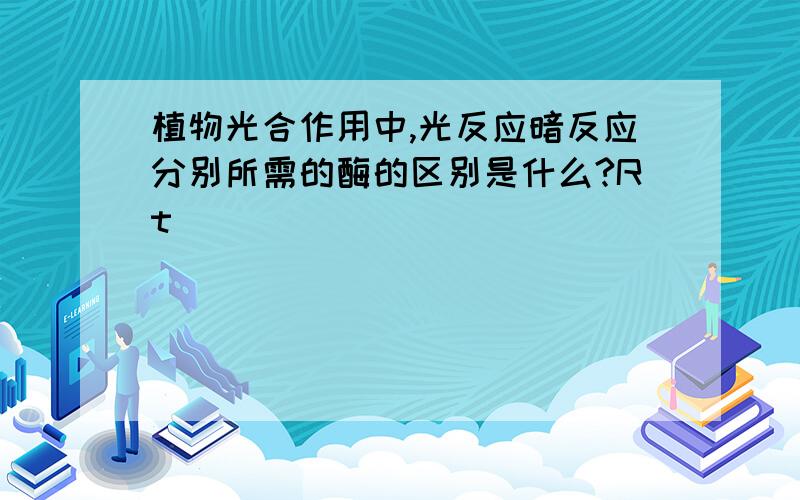 植物光合作用中,光反应暗反应分别所需的酶的区别是什么?Rt