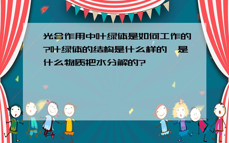 光合作用中叶绿体是如何工作的?叶绿体的结构是什么样的,是什么物质把水分解的?