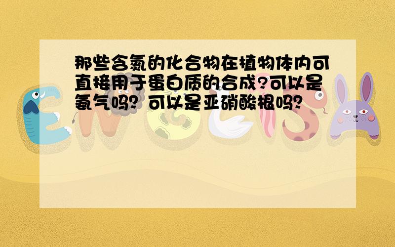 那些含氮的化合物在植物体内可直接用于蛋白质的合成?可以是氨气吗？可以是亚硝酸根吗？