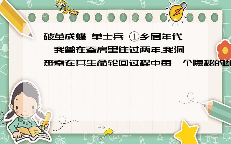 破茧成蝶 单士兵 ①乡居年代,我曾在蚕房里住过两年.我洞悉蚕在其生命轮回过程中每一个隐秘的细节.由黑珍珠一般的子儿,到肉嘟嘟的蚕儿,到沉睡茧中的蛹,最后羽化①成蛾,这个神秘的精灵