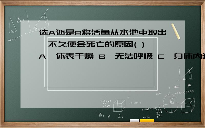 选A还是B将活鱼从水池中取出,不久便会死亡的原因( ) A、体表干燥 B、无法呼吸 C、身体内缺水 D、血液循环停止