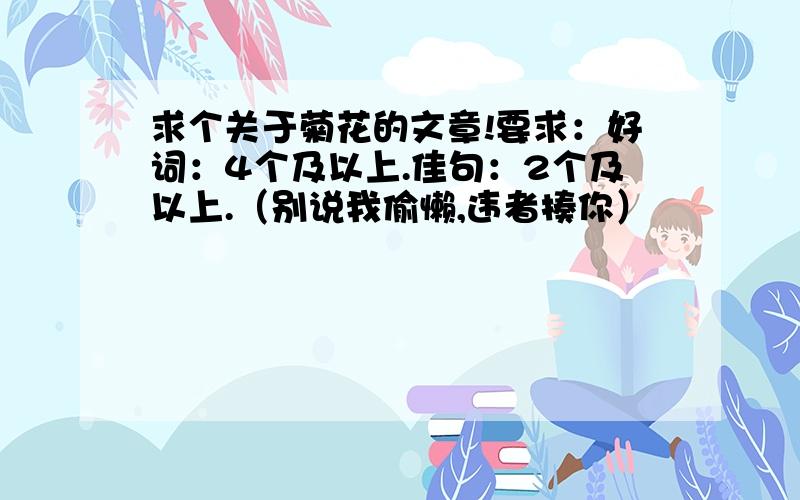 求个关于菊花的文章!要求：好词：4个及以上.佳句：2个及以上.（别说我偷懒,违者揍你）