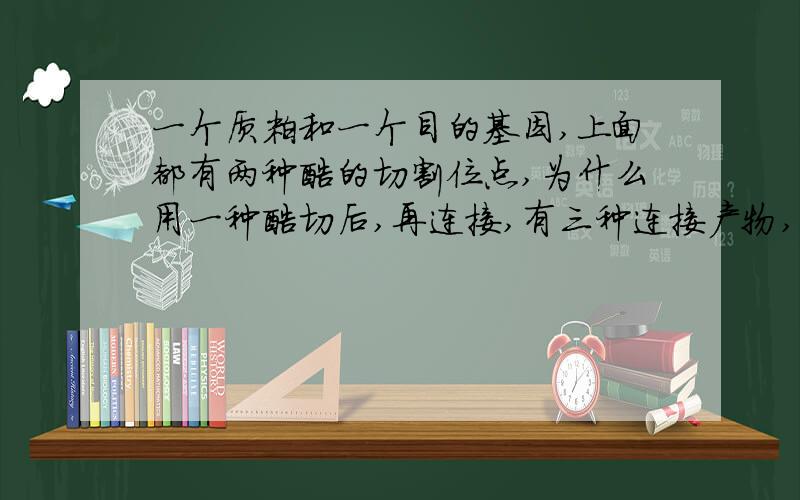 一个质粒和一个目的基因,上面都有两种酶的切割位点,为什么用一种酶切后,再连接,有三种连接产物,而...一个质粒和一个目的基因,上面都有两种酶的切割位点,为什么用一种酶切后,再连接,有