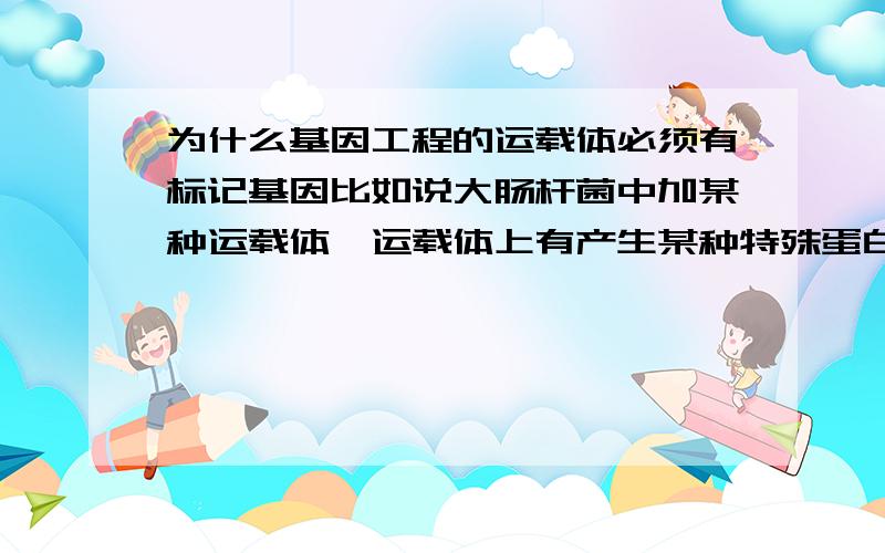 为什么基因工程的运载体必须有标记基因比如说大肠杆菌中加某种运载体,运载体上有产生某种特殊蛋白质的基因,如果运载体进入了大肠杆菌,那么大肠杆菌可以产生该蛋白质,否则不能产生该