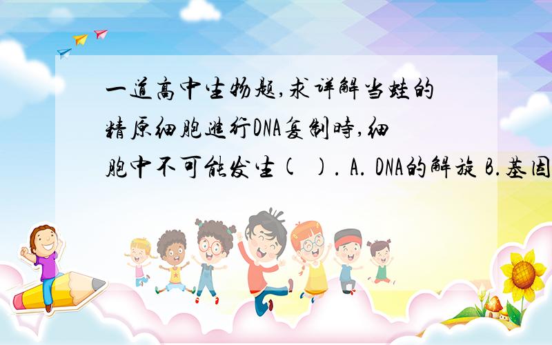 一道高中生物题,求详解当蛙的精原细胞进行DNA复制时,细胞中不可能发生( ). A. DNA的解旋 B.基因重组 c 基因突变 D.蛋白质的合成 为什么是 c 尼