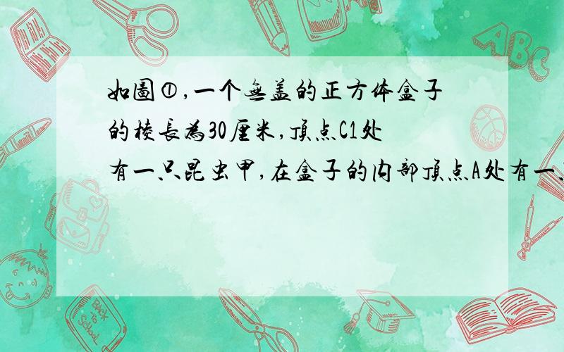 如图①,一个无盖的正方体盒子的棱长为30厘米,顶点C1处有一只昆虫甲,在盒子的内部顶点A处有一只昆虫乙.（盒壁的厚度忽略不计）      ⑴ 假设昆虫甲在顶点C1处静止不动,如图①,在盒子的内