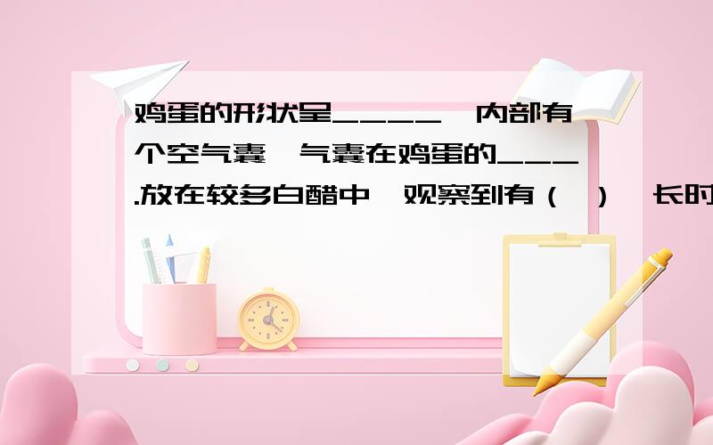 鸡蛋的形状呈____,内部有个空气囊,气囊在鸡蛋的___.放在较多白醋中,观察到有（ ）,长时间后,又会出现（ ）