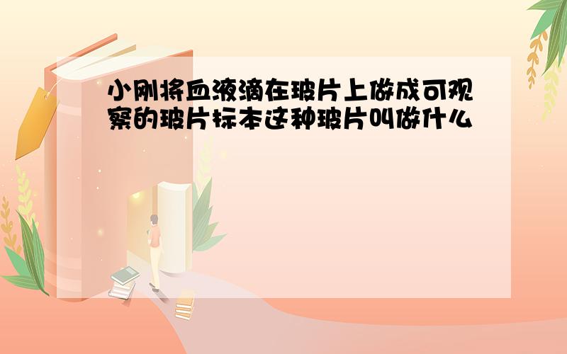 小刚将血液滴在玻片上做成可观察的玻片标本这种玻片叫做什么