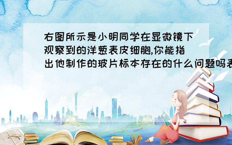 右图所示是小明同学在显微镜下观察到的洋葱表皮细胞,你能指出他制作的玻片标本存在的什么问题吗表现在————————,原因可能是——————.谢谢啦,写过这题的童鞋帮帮忙,图片