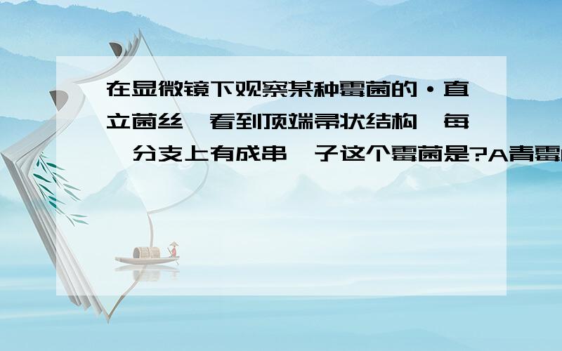 在显微镜下观察某种霉菌的·直立菌丝,看到顶端帚状结构,每一分支上有成串孢子这个霉菌是?A青霉B酵母菌C曲霉D黄曲霉