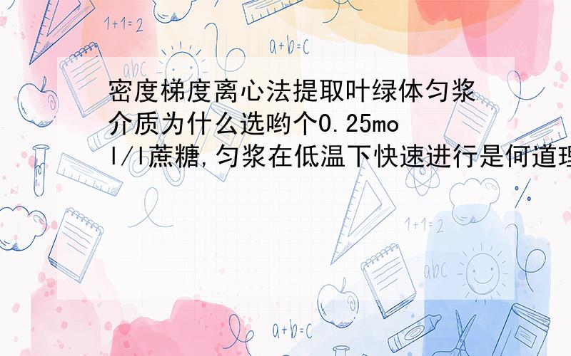 密度梯度离心法提取叶绿体匀浆介质为什么选哟个0.25mol/l蔗糖,匀浆在低温下快速进行是何道理