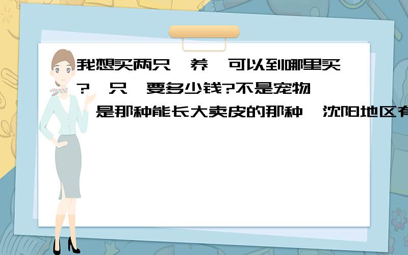 我想买两只貂养,可以到哪里买?一只貂要多少钱?不是宠物貂,是那种能长大卖皮的那种,沈阳地区有卖的吗?买只小貂回去自己养大谢谢啦