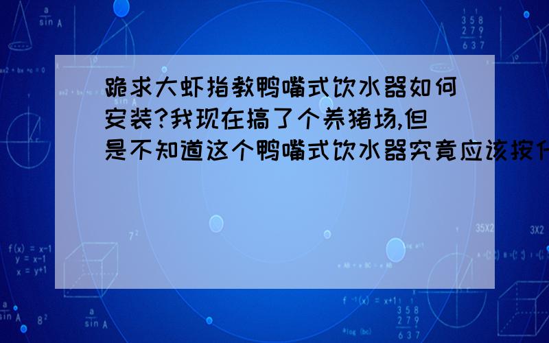 跪求大虾指教鸭嘴式饮水器如何安装?我现在搞了个养猪场,但是不知道这个鸭嘴式饮水器究竟应该按什么标准来安装,请大虾指教,请说清楚,本人比较笨!