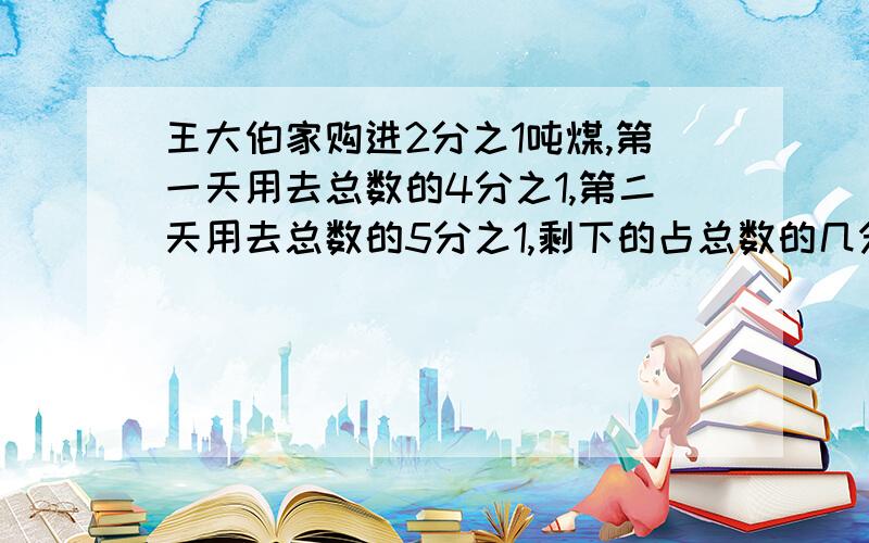 王大伯家购进2分之1吨煤,第一天用去总数的4分之1,第二天用去总数的5分之1,剩下的占总数的几分之几?