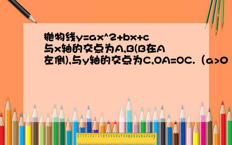 抛物线y=ax^2+bx+c与x轴的交点为A,B(B在A左侧),与y轴的交点为C,OA=OC.（a>0 b>0 c>0）下列关系中正确的是A、ac+1=bB、ab+1=cC、bc+1=aD、a\b+1=1