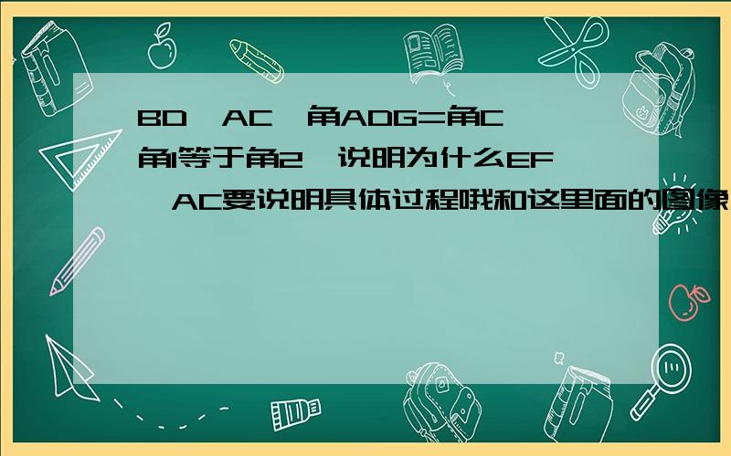 BD⊥AC,角ADG=角C,角1等于角2,说明为什么EF⊥AC要说明具体过程哦和这里面的图像反