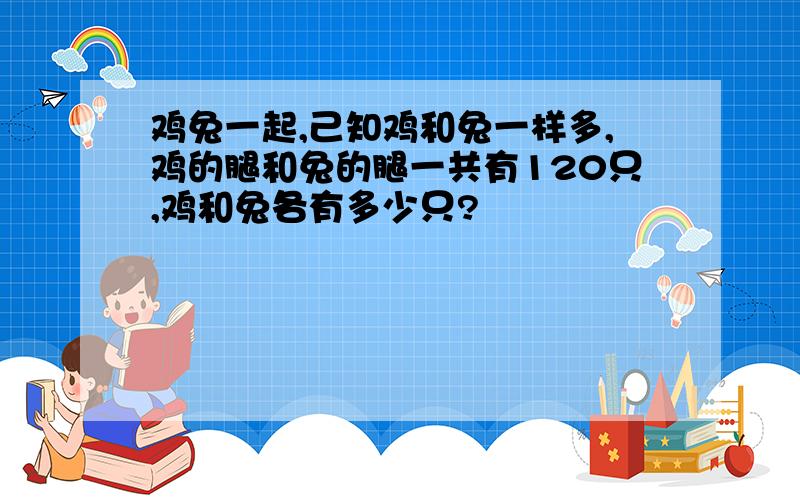 鸡兔一起,己知鸡和兔一样多,鸡的腿和兔的腿一共有120只,鸡和兔各有多少只?