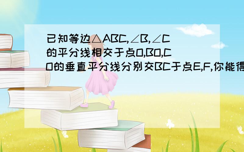 已知等边△ABC,∠B,∠C的平分线相交于点O,BO,CO的垂直平分线分别交BC于点E,F,你能得到BE=EF=FC吗?