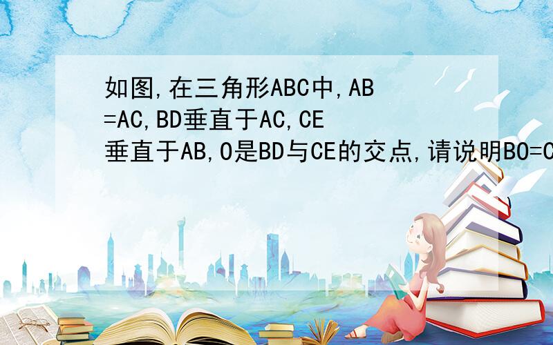 如图,在三角形ABC中,AB=AC,BD垂直于AC,CE垂直于AB,O是BD与CE的交点,请说明BO=CO