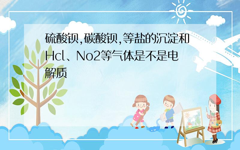 硫酸钡,碳酸钡,等盐的沉淀和Hcl、No2等气体是不是电解质