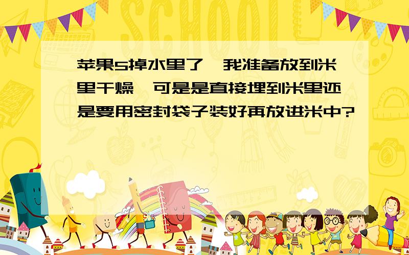 苹果5掉水里了,我准备放到米里干燥,可是是直接埋到米里还是要用密封袋子装好再放进米中?