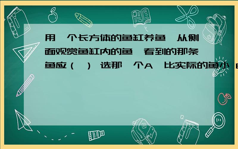 用一个长方体的鱼缸养鱼,从侧面观赏鱼缸内的鱼,看到的那条鱼应（ ） 选那一个A、比实际的鱼小 B、比实际的鱼大 C、没有变化