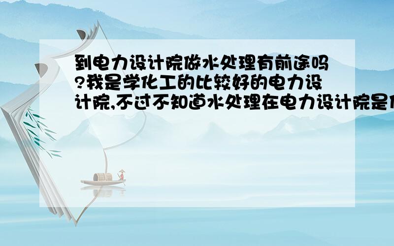 到电力设计院做水处理有前途吗?我是学化工的比较好的电力设计院,不过不知道水处理在电力设计院是什么地位?待遇会差很多吗?