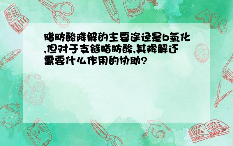 脂肪酸降解的主要途径是b氧化,但对于支链脂肪酸,其降解还需要什么作用的协助?