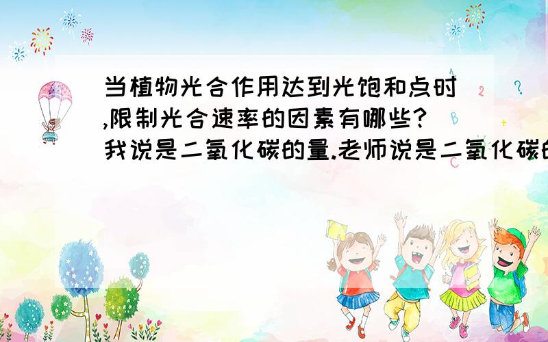 当植物光合作用达到光饱和点时,限制光合速率的因素有哪些?我说是二氧化碳的量.老师说是二氧化碳的浓度.我怎么觉得都可以.到底应该是说浓度还是量.为什么?