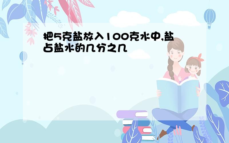 把5克盐放入100克水中,盐占盐水的几分之几