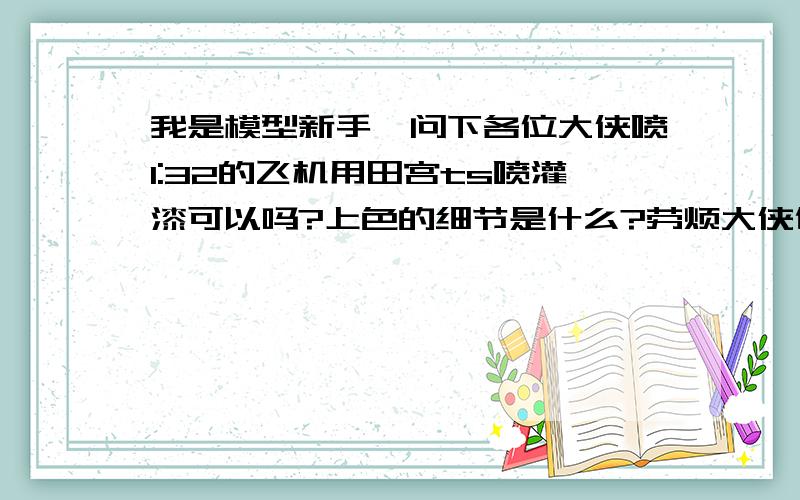 我是模型新手,问下各位大侠喷1:32的飞机用田宫ts喷灌漆可以吗?上色的细节是什么?劳烦大侠们解答