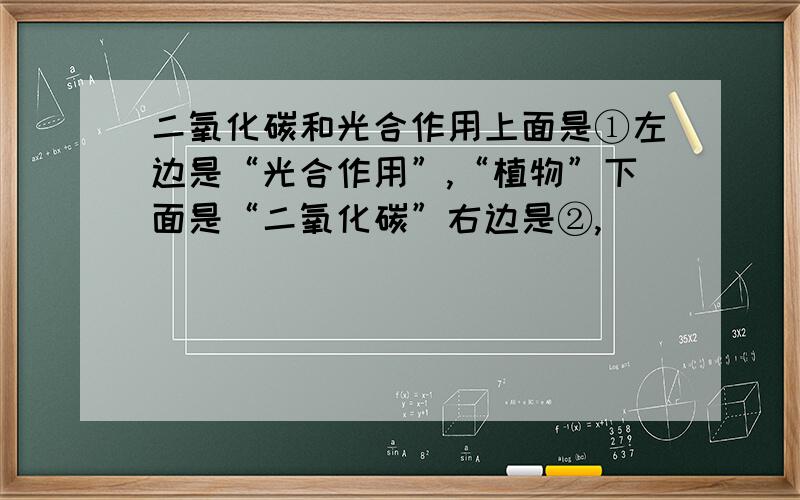 二氧化碳和光合作用上面是①左边是“光合作用”,“植物”下面是“二氧化碳”右边是②,