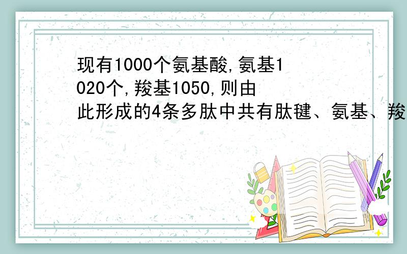 现有1000个氨基酸,氨基1020个,羧基1050,则由此形成的4条多肽中共有肽毽、氨基、羧基数目