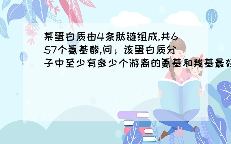 某蛋白质由4条肽链组成,共657个氨基酸,问；该蛋白质分子中至少有多少个游离的氨基和羧基最好有解释,还有第二问；该蛋白质分子中共有多少个肽键,在该蛋白质分子形成过程中,相对分子质