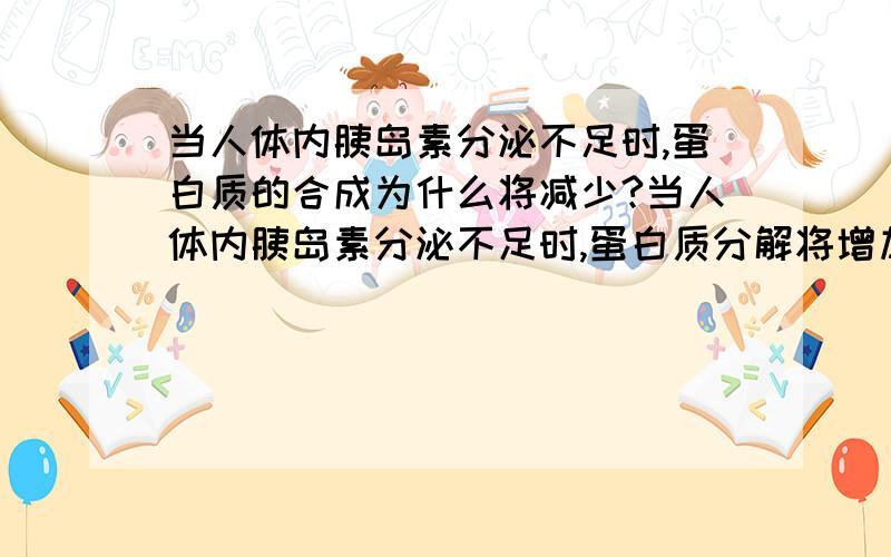 当人体内胰岛素分泌不足时,蛋白质的合成为什么将减少?当人体内胰岛素分泌不足时,蛋白质分解将增加,但不代表合成增加啊?