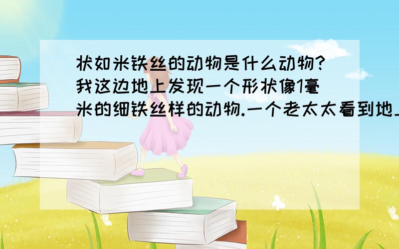 状如米铁丝的动物是什么动物?我这边地上发现一个形状像1毫米的细铁丝样的动物.一个老太太看到地上有一个铁丝,刚要去拾,没想到,它具然会动,而且怎么看也不像蚯蚓,不知道是什么东西 .很