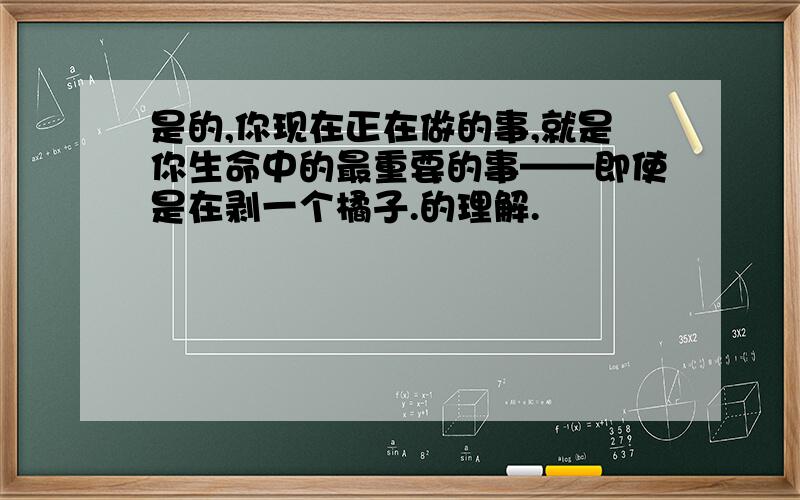 是的,你现在正在做的事,就是你生命中的最重要的事——即使是在剥一个橘子.的理解.