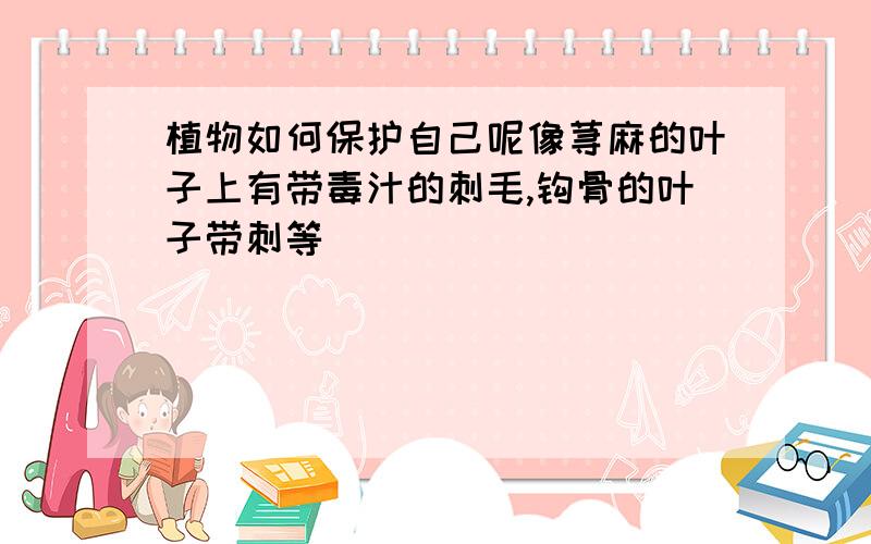 植物如何保护自己呢像荨麻的叶子上有带毒汁的刺毛,钩骨的叶子带刺等