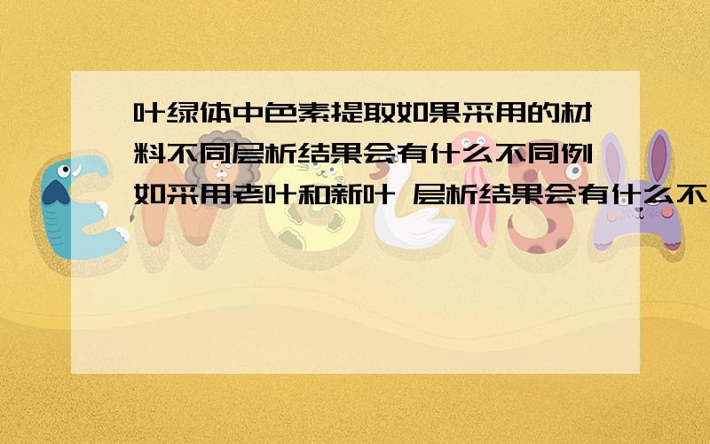 叶绿体中色素提取如果采用的材料不同层析结果会有什么不同例如采用老叶和新叶 层析结果会有什么不同?